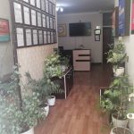 🎯 انگلیسی رو از کجا شروع کنیم؟
